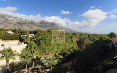 Precioso apartamento de planta baja con terraza grande.